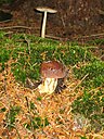 IMG_1243
